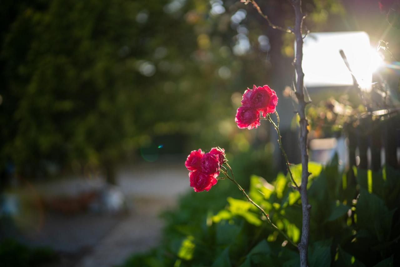 Apartmán Quinta Do Sol Alijó Exteriér fotografie